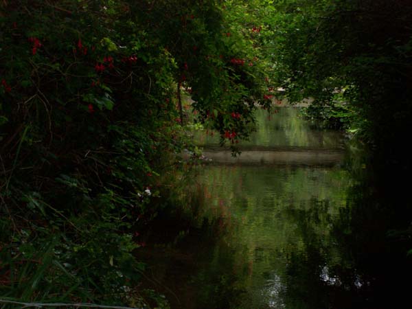 View From Bridge