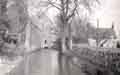 Grove Mill and the Leet